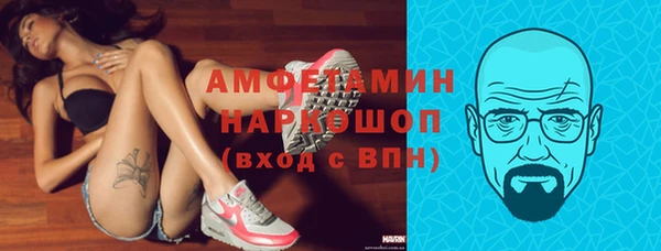 прущие грибы Горнозаводск