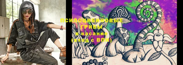 дурь Горняк