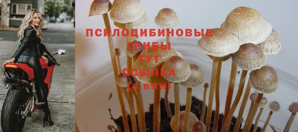 марки lsd Яровое