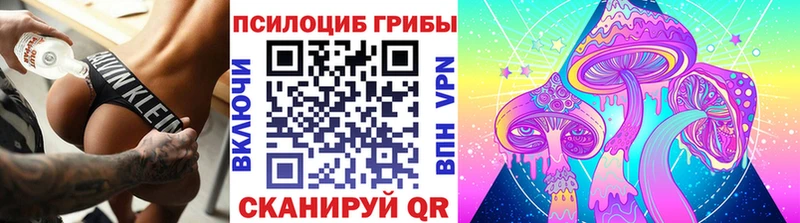 Псилоцибиновые грибы прущие грибы  hydra рабочий сайт  Западная Двина  даркнет сайт 
